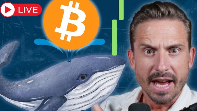 Bitcoin Whales Are Long